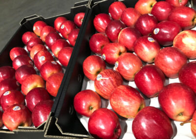 apples packed in boxes